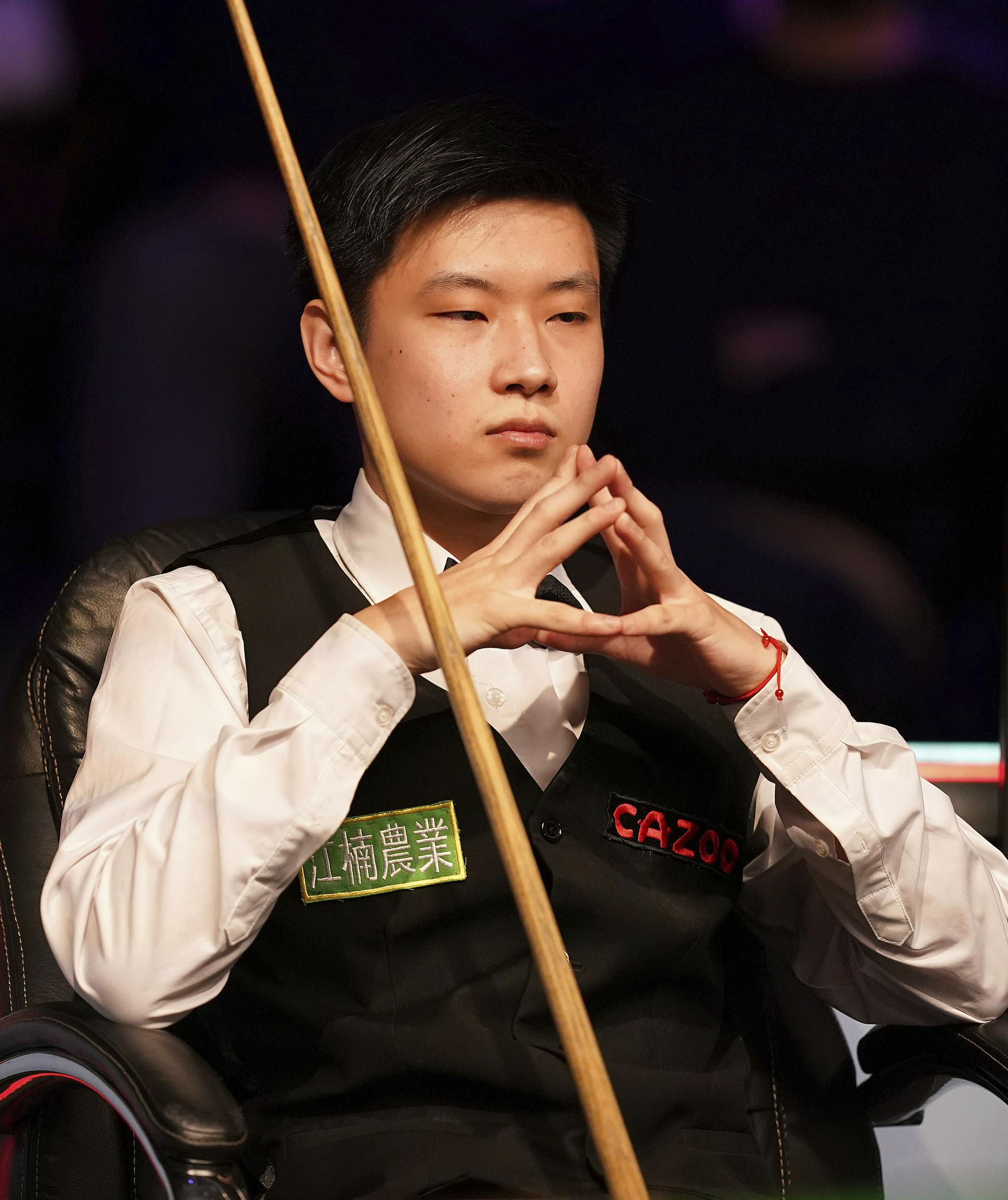 斯野猫而言 斯野猫而言