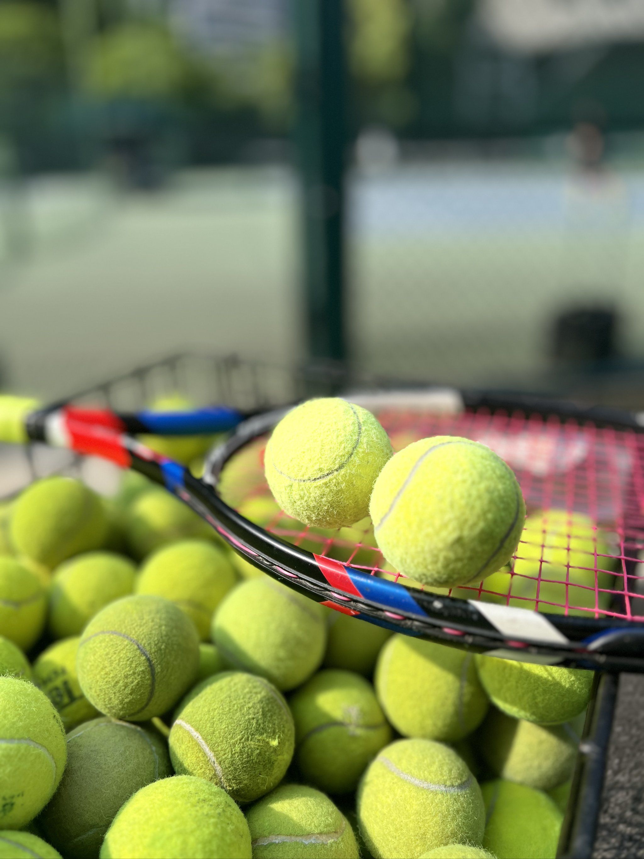 她不仅关注 她不仅关注