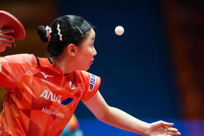 不仅迎来了 不仅迎来了