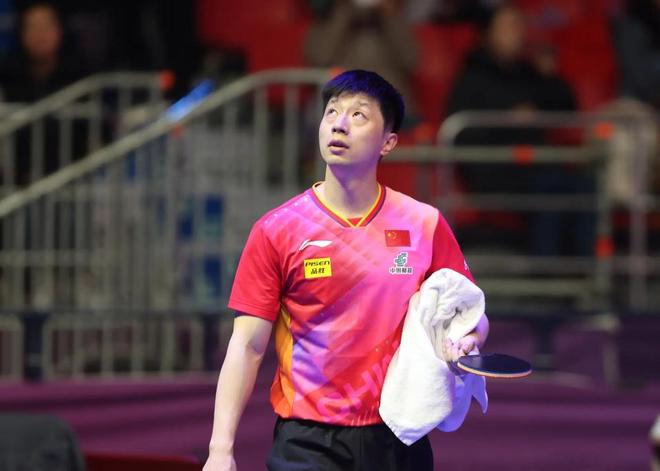 媒晒与维尼 媒晒与维尼