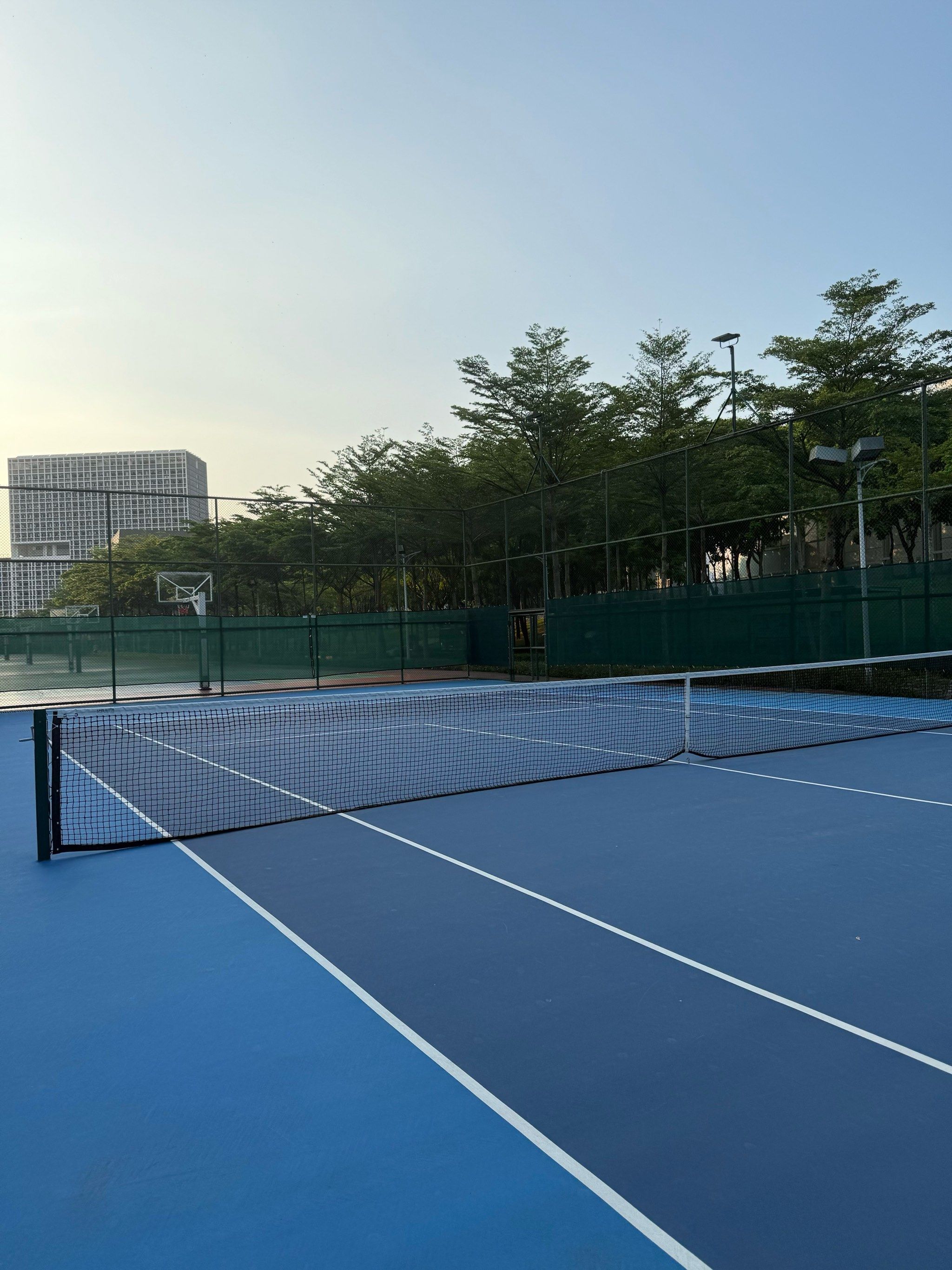 秩序